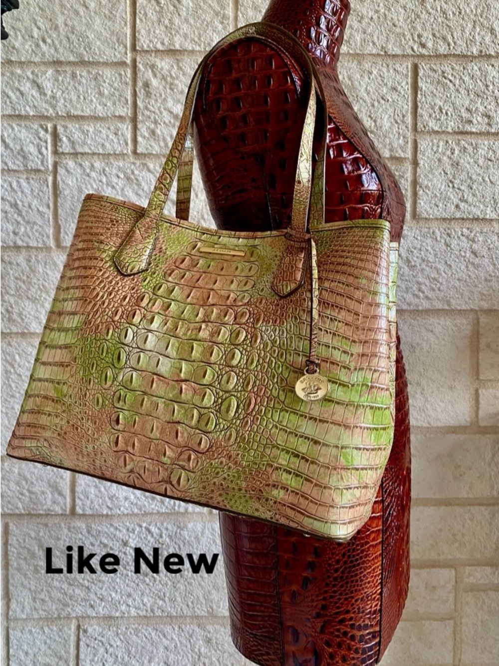 ATLAS🪴🍃 MEDIUM JULIAN Brahmin Shoulder Bag